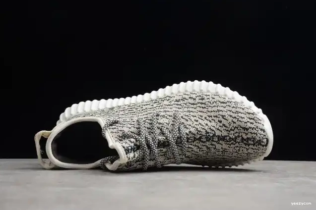 Boost Adidas Turtle 350 AQ4832 YEEZY Dove 0704